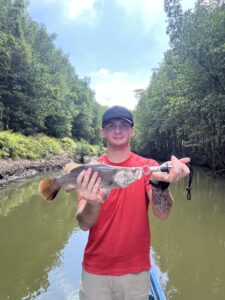Lure Casting in Vietnam’s Mangrove Waters – Angler’s Vietnam