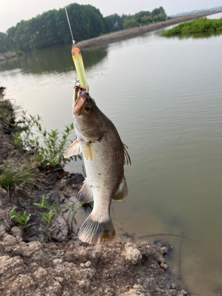 Read more about the article Lure Fishing in Vietnam: Tips for a Successful Trip