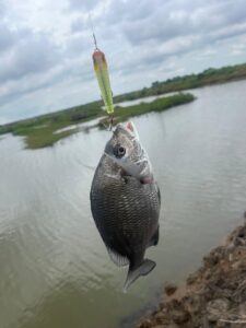 Catch and Release at Vietnam’s Saltwater Fishing Lakes