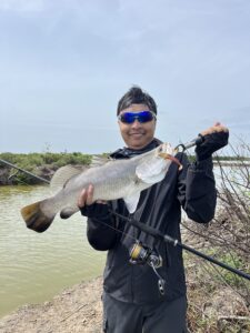 Barramundi caught in southern Vietnam