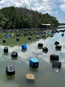 oyster-farms-tour-01 at 20.20.42