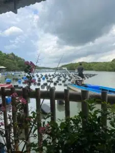 oyster-farms-tour-01 at 20.20.42-3