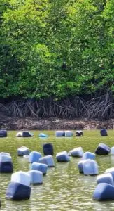 oyster-farms-tour-01 at 20.20.42-5