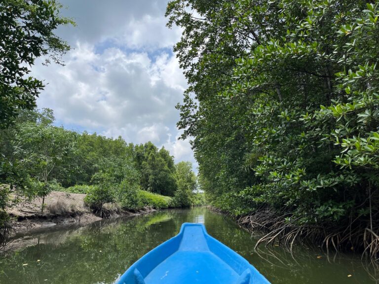 Read more about the article Top Outdoor Activities in Ho Chi Minh City for Nature Lovers