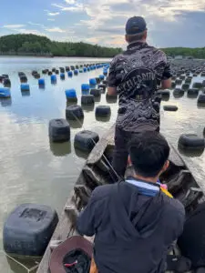 Fishermen lure fishing the Oyster Farms