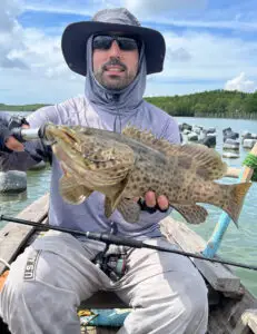Grouper caught in the oyster farms