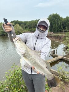 Lure fishing in Vietnam for big barramundi