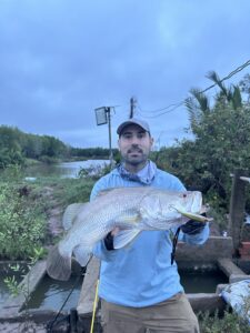 Mekong Delta Barramundi