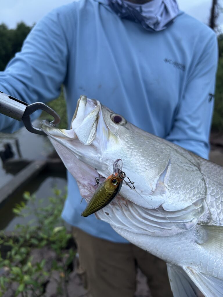 Read more about the article The Best Lures for Barramundi Fishing in Vietnam (2026 Guide)