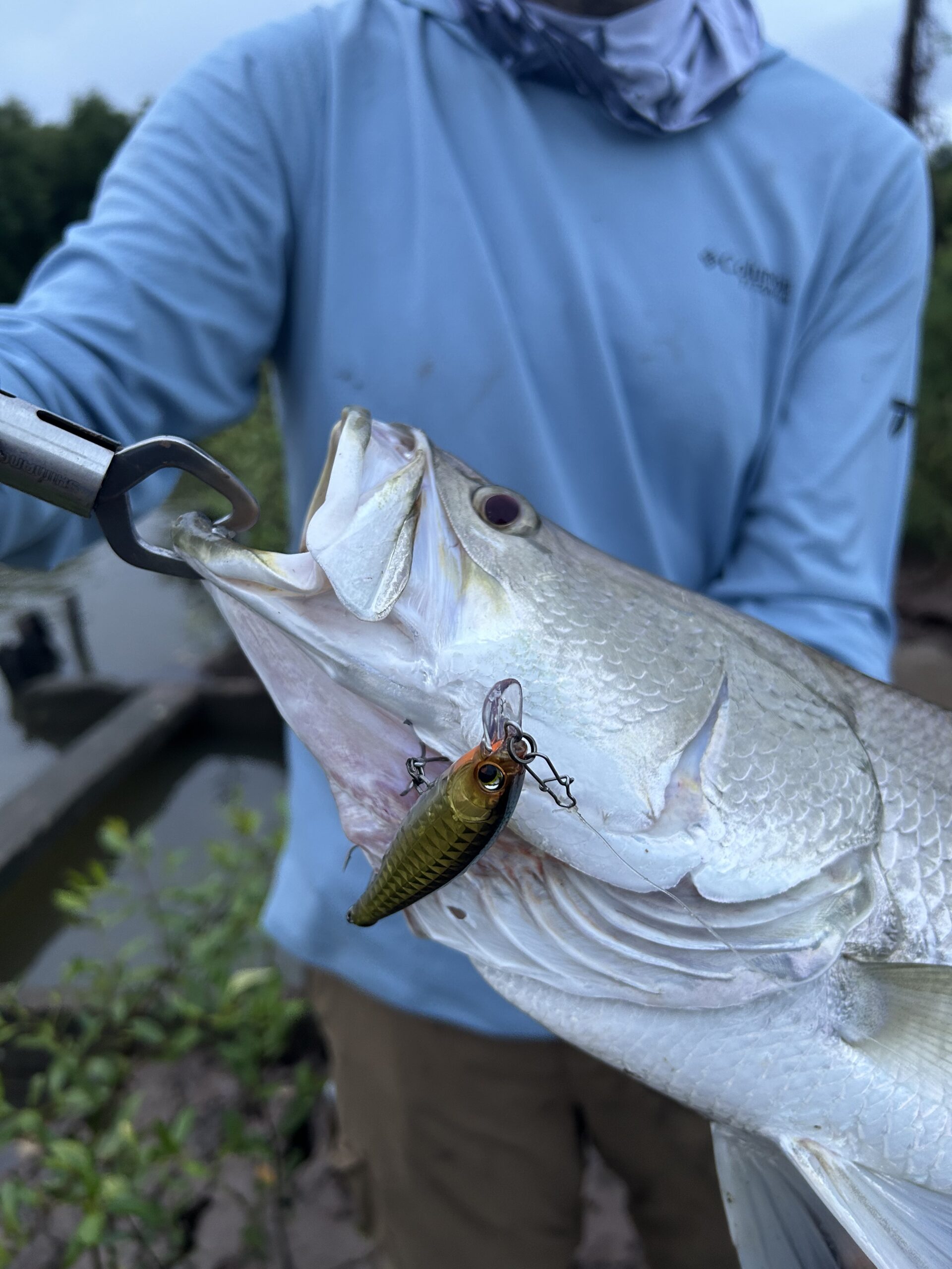 You are currently viewing The Best Lures for Barramundi Fishing in Vietnam (2026 Guide)