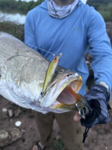 The Ultimate Packing List for Fishing in Vietnam (2026 Guide)